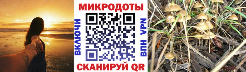 Галлюциногенные грибы мицелий  наркошоп  Новокубанск 